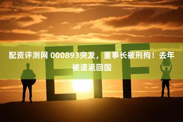 配资评测网 000893突发，董事长被刑拘！去年被遣返回国